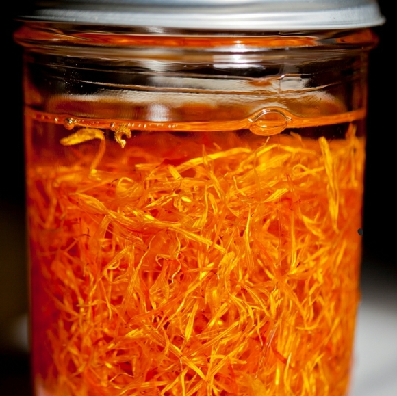 Herbal rash/ moisturizing salve - Picture 4 of 6